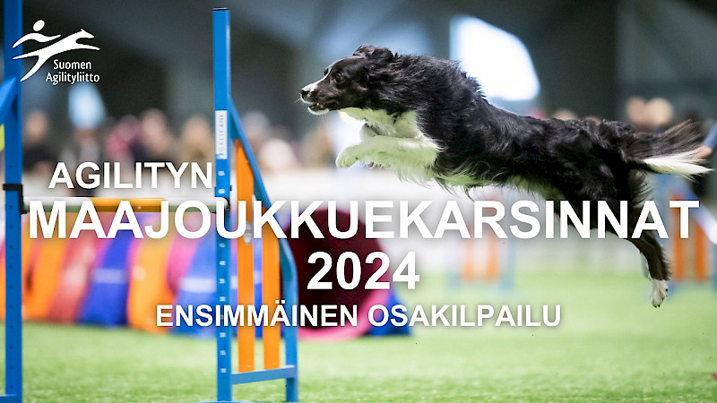 Kuva: Jukka Pätynen/koirakuvat.fi