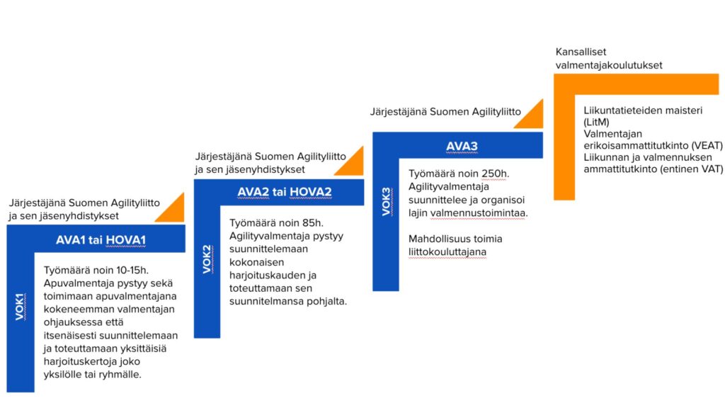 Kaavio Suomen Agilityliiton valmentajakoulutuspolusta. Portaat etenevät kolmessa vaiheessa: AVA1/HOVA1 (10–15 h, apuvalmentaja pystyy suunnittelemaan ja toteuttamaan yksittäisiä harjoituskertoja), AVA2/HOVA2 (85 h, valmentaja suunnittelee kokonaisen harjoituskauden), AVA3 (250 h, valmentaja suunnittelee ja organisoi valmennustoimintaa, mahdollisuus toimia liittokouluttajana). Tämän jälkeen voi jatkaa kansallisiin valmentajakoulutuksiin, kuten liikuntatieteiden maisteriksi (LitM), valmentajan erikoisammattitutkintoon (VEAT) tai liikunnan ja valmennuksen ammattitutkintoon (entinen VAT)."
