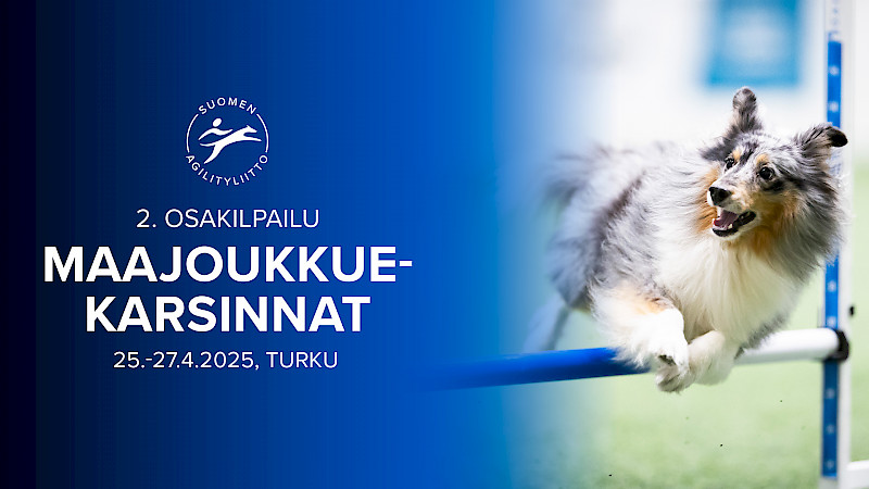 Kuva: Jukka Pätynen/koirakuvat.fi